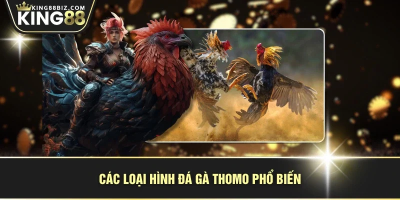 Các loại hình đá gà Thomo phổ biến