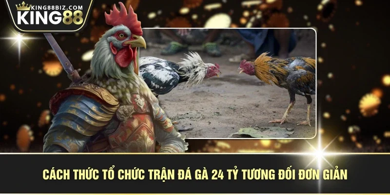 Cách thức tổ chức trận đá gà 24 tỷ tương đối đơn giản