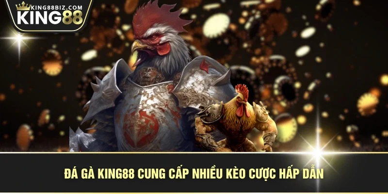 Đá gà KING88 cung cấp nhiều kèo cược hấp dẫn