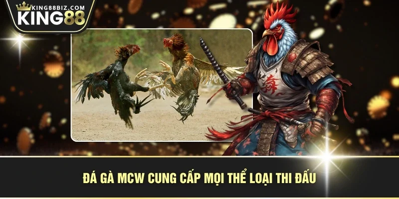 Đá gà MCW cung cấp mọi thể loại thi đấu