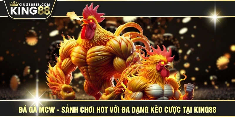 Đá Gà MCW - Sảnh Chơi Hot Với Đa Dạng Kèo Cược Tại KING88