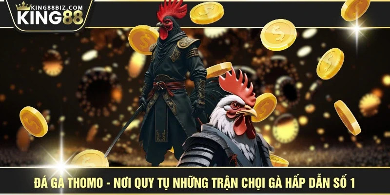 Đá Gà Thomo - Nơi Quy Tụ Những Trận Chọi Gà Hấp Dẫn Số 1