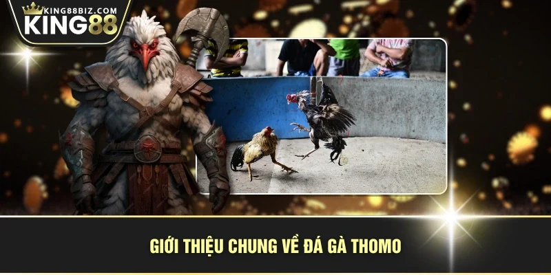 Giới thiệu chung về đá gà Thomo