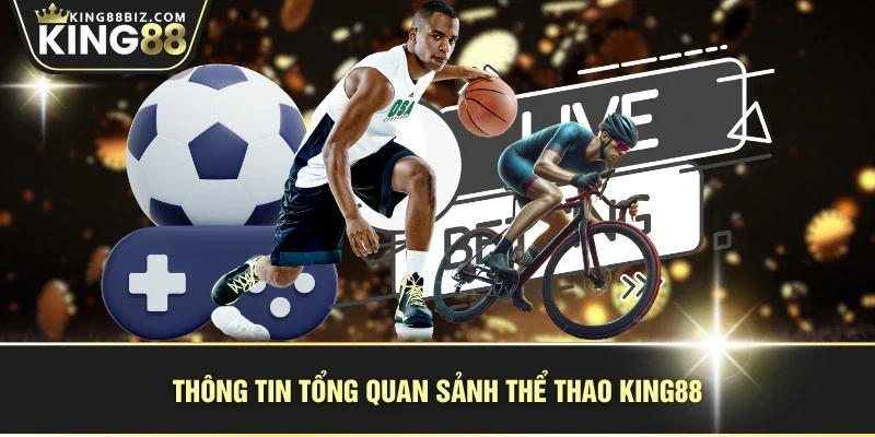 Thông tin tổng quan sảnh thể thao KING88