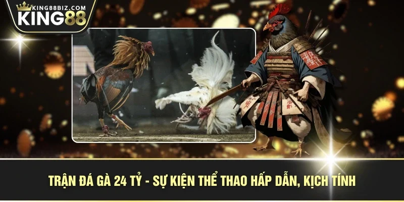 Trận đá gà 24 tỷ - sự kiện thể thao hấp dẫn, kịch tính
