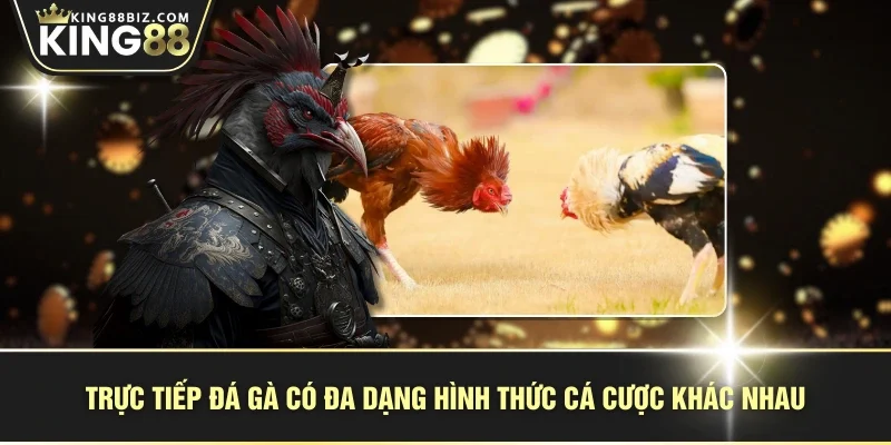 Trực tiếp đá gà có đa dạng hình thức cá cược khác nhau