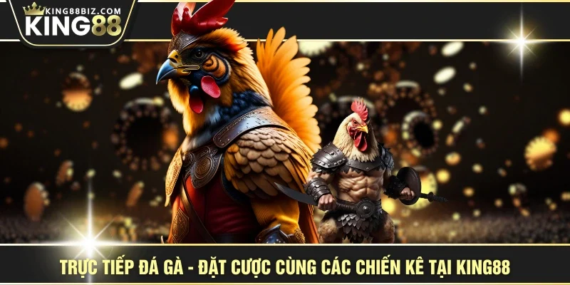 Trực Tiếp Đá Gà - Đặt Cược Cùng Các Chiến Kê Tại KING88