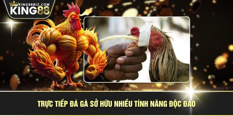 Trực tiếp đá gà sở hữu nhiều tính năng độc đáo